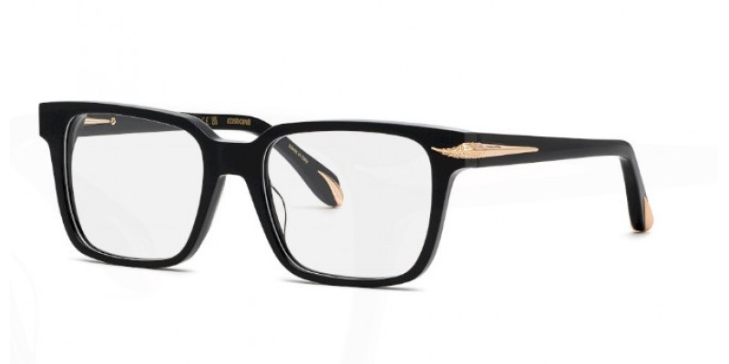 Roberto Cavalli RC019S 0700
